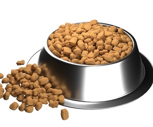 Dog food bowl 3