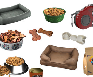 Dog Accessories collection