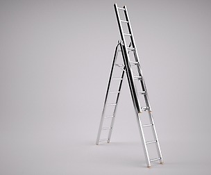 Reform Ladder