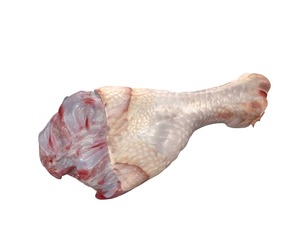 Chicken drumstick raw v2