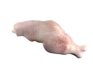 Chicken drumstick raw v3
