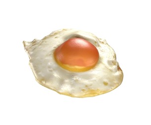Fired egg v1