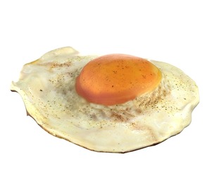Fried egg v2