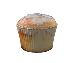 Muffin 9