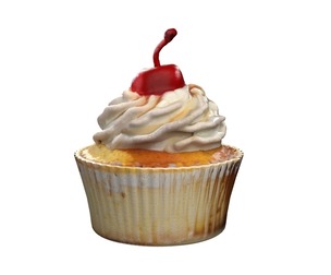 Muffin 14