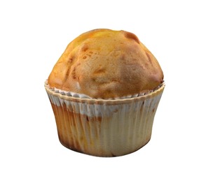 Muffin 15