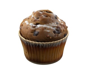 Muffin 16