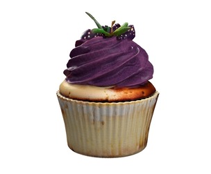 Muffin 17