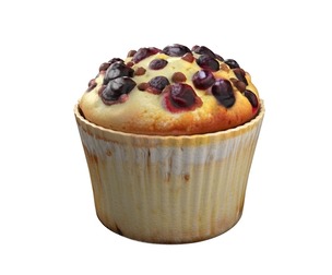 Muffin 19