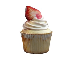 Muffin 20