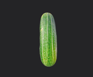 cucumber 3D model 001