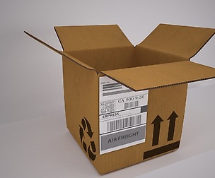 Cardboard Box (Rigged)