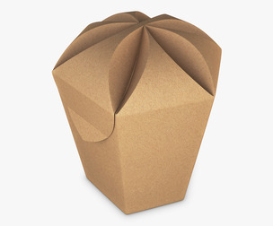 Package Cardboard Hexagon Petal Box M 1 3D Model
