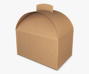 Package Cardboard Treat Box M 1 3D Model