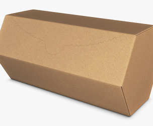 Package Cardboard Hexagon Box M 1 3D Model