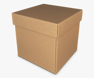 Package Cardboard Box M 2 3D Model