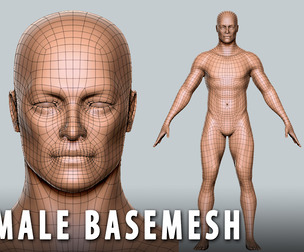 Male BaseMesh  - Topology + UV Map