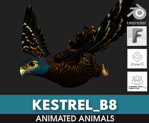 Kestrel_B8