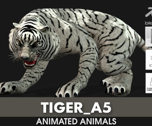 Tiger_A5