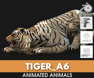 Tiger_A6