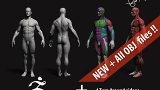 Anatomy Male Tool Reference for Artists ! cover