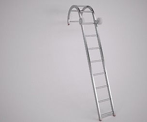 Roof Ladder