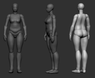 MIDDLE-AGED FEMALE BODY POLYGROUP