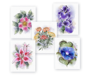 Watercolor-stylized flowers pictures set