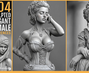 404 Sculpted Elegant Female