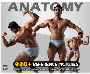 Male Anatomy - Photo Reference Package For Artist - 930 JPEGs - noAI