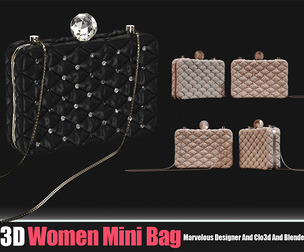 3d Women Mini Bag 01 (CLO3D, MD PROJECTS+OBJ+FBX+Blend)