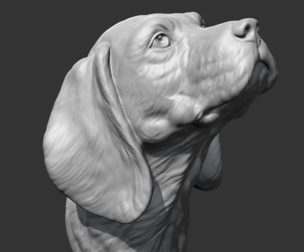 Beagle Head AM04 3D print model