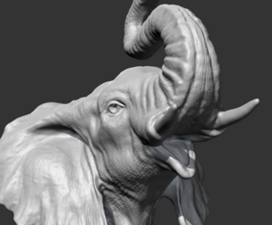 Elephant Head AM05 3D print model