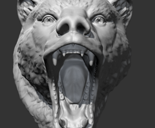 Grizzly Bear Head AM06 3D print model