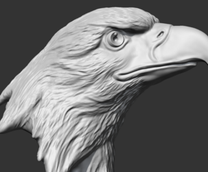 Bald Eagle Head AM07 3D print model
