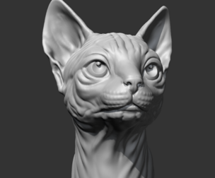 Sphynx Cat Head AM08 3D print model