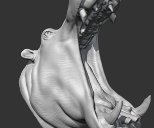 Hippo Head AM11 3D print model
