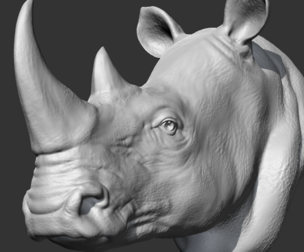 Rhino Head AM12 3D print model