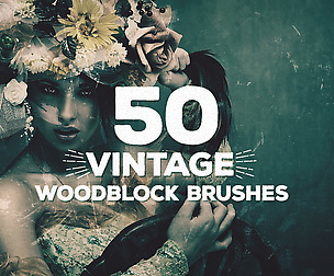 50 Vintage Woodblock Brushes