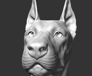 Doberman Head AM17 3D print model