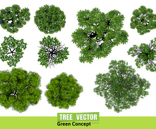 Top View Vector Illustration Various Realistic Green Trees, EPS File