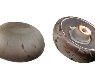 Mushroom 9
