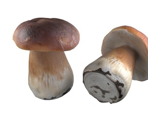 Mushroom 14