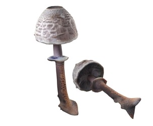 Mushroom 17