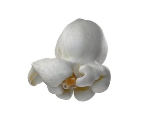 Popcorn 5