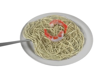 Shrimp noodles