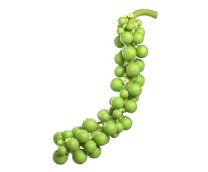 Fresh green peppercorn