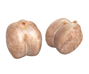 Garbanzo beans