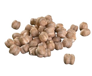 Garbanzo chickpea pile