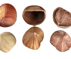 Hazelnut collection